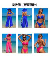 Nuevo Conjunto de tres piezas de primavera para mujer adulta, traje de baño, Bikini, traje de baño - details 2