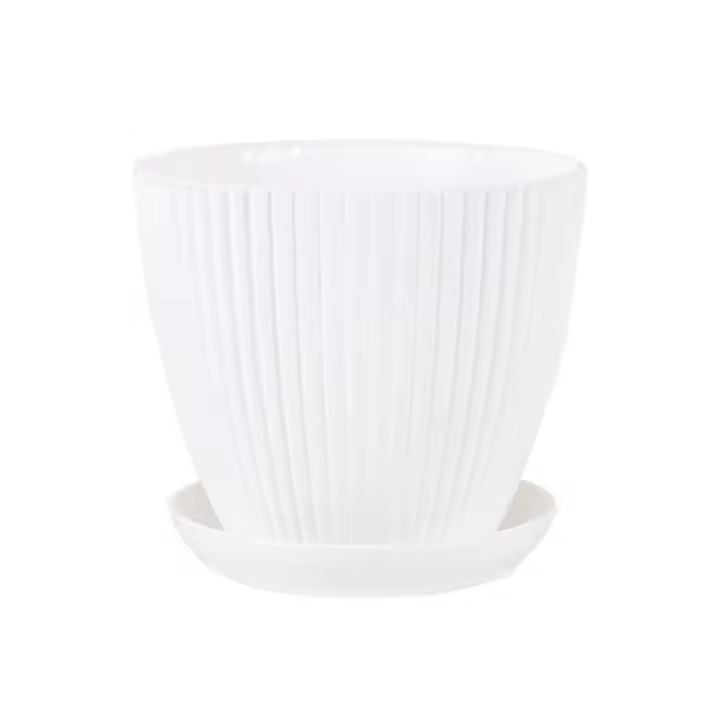 balcones, flores, plásticos, ETA para plantas jugosas, bandejas, adornos de mesa para jardín - 1