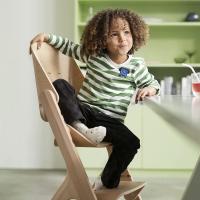 Accesorios para la Trona de Madera Maxi-Cosi Nesta, para Niños de 6 Meses a 3.5 años (aprox. 9-15 kg), Más allá del gris cielo - details 18