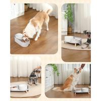 Comedero Perro Elevado Comedero Perros - Comedero y Bebedero Perro Ceramica - Cuenco Perro Doble con Soporte de Bambú - Platos Perros - Bol Comida y Agua para Perros Pequeños y Medianos - 2 x 850 ml - details 2