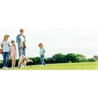 ALLSOPETS Mochila para perros con ventana de malla transpirable con apertura frontal portátil para gatos que viaja con mascotas verde - details 0