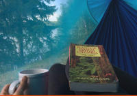 Hamaca de 290x140 CM para 2 Personas, Sombrilla Exterior Antimosquitos, Antivuelco Lateral, Material de Nylon, Columpio para Camping, Apta para Jardín, Bosque, Camping, Vida Silvestre, Exterior - details 1