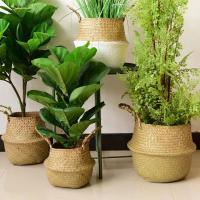 Cestas de almacenamiento Naturales de algas marinas, maceta de flores de estilo nórdico, cesta de plantas, bolsa de cultivo tejida de paja, maceta colgante, decoración del hogar - details 6