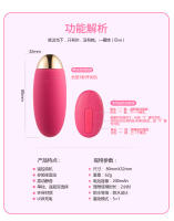 Juguetes Sexuales, Control Remoto Vibración Masaje Silencio Productos Sexuales Orgasmo Seguridad Silicona Huevo Vibrador - details 11