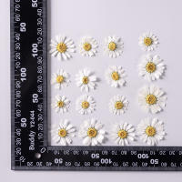 Juego de 12 Uds. De flores secas naturales de 2,5-4cm para rellenos de funda de teléfono DIY, flor de crisantemo de cristal prensado, decoraciones artísticas para uñas - details 7
