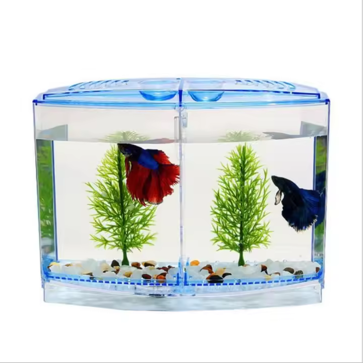 Tanque de peces Betta transparente de plástico con hierba de agua, caja de aislamiento Betta de doble rejilla, caja de aislamiento Betta de rejilla simple/doble - 1