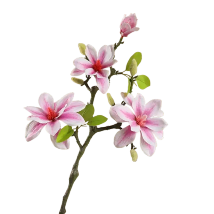 Rama de Magnolia Artificial de 40cm, arte Floral de tacto Real, flores de orquídeas artificiales hechas a mano con brotes, simulación de magnolia grande - 1