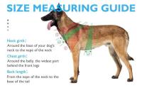 Chaleco Táctico Militar para Mascotas Correa de Entrenamiento al Aire Libre para Perros Medianos y Grandes Collar Incluido - details 14