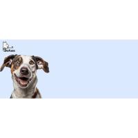 Dufuso Juego Inteligencia Perro
