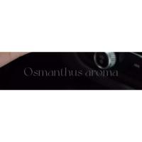 Osmanthus montado aromaterapia expansor perfume aire acondicionado salida de automóvil 2025 nueva decoración interior del coche para niñas - details 12