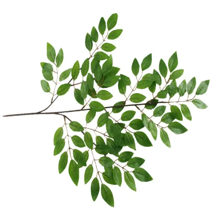 Plantas de Sophora artificiales de 60cm, hojas de Sophora artificiales, rama de hoja de Sophora realista de plástico, plantas falsas de tacto Real, decoración para el hogar y el jardín - 1