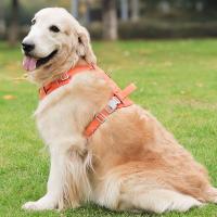 Chaleco de seguridad estilo correas para el pecho para mascotas, arnés para perro impermeable ajustable, conjunto de correa, chaleco tipo arnés para mascotas transpirable, para caminar - details 2