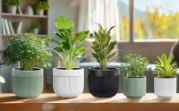 Macetas de Cerámica con autorriego, indicador de nivel de agua con orificios de Drenado, macetas de exterior con autorriego para plantas de Interior, macetas Grandes de facil Cuido, macetas para Potos Violetas - details 3