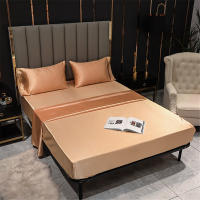 Sábana Ajustable de Seda de Morera 100% con Banda Elástica Antideslizante para Cama Individual Doble King Queen - details 0