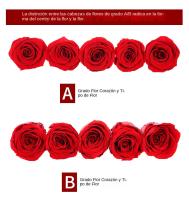 8 Flores 8B Grado Flores Eternas Caja de Regalo Día de San Valentín Día de la Madre Flores de Preservación Navidad Día de la Muj - details 3