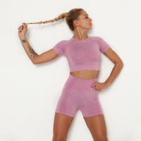 Hamidou-camisetas deportivas de Yoga para mujer, Tops sin costuras para Fitness, ropa deportiva para correr y gimnasio - details 28
