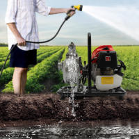 Bomba de Agua de Alta Potencia de 1400W Motor de Doble Troke con Cilindro Único - details 11