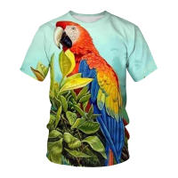 2025 Camisetas de Manga Corta y Larga para Hombre 3D Moda Popular Elemento Ropa para Impresión Color Belleza Ropa - details 1