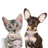 Collares de perlas ajustables para perros y gatos, collar de cristal ostentoso con diamantes de imitación para gatos, joyería de lujo, perlas artificiales - details 2