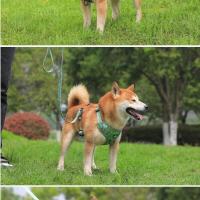 Arnés tracción perro, chaleco reflectante ustable caminar, correas de seguridad transpirables, suministros para mascotas - details 21