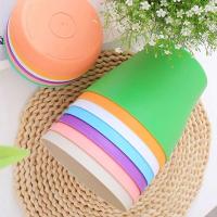 ETA color caramelo con bandeja, planta jugosa ETA, escritorio de oficina, balcón, decoración de jardín, ETROS de plástico - details 5