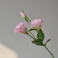 Flores artificiales de Lisianthus de tacto Real, flores de seda, ramo de novia, flores falsas de Eustoma, suministros para fiestas elegantes - details 6