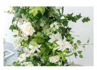 Fondo de alta calidad, decoración de flores de cuerno, hoja Floral Artificial de seda, flores de arco de boda verdes y blancas - details 5
