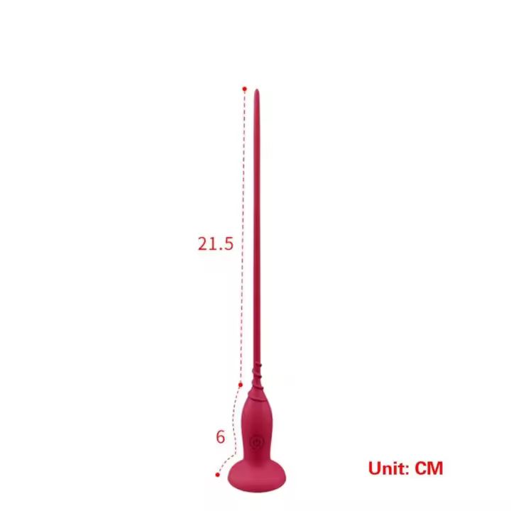 Vibrador de silicona con sonido, masajeador de próstata eléctrico, juguete sensorial para la salud masculina, suave y perforado, en empaque privado. - 1