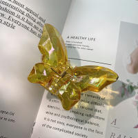 Mini Pinzas De Pelo En Forma De Mariposa Para Mujer Antideslizantes Translúcidas Accesorios De Cabello Moda Para Niñas - details 4