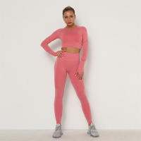 conjunto de yoga para mujer sin costuras ropa deportiva de gimnasio con manga larga sujetador de alto cinturón leggings de gimnasio traje deportivo - details 37