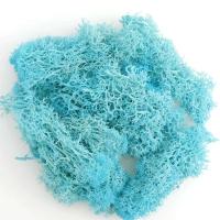 Musgo eterno, manualidades DIY, hierba, 20/40/100g, plantas verdes artificiales, decoración del hogar, habitación, jardín, mini país, hierba falsa - details 16