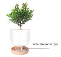 Plástico blanco uso interior, mini macetero floral con agujeros de drenaje jugoso o cactus, para plantas, ETA - details 3