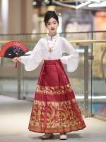 Hanfu para niñas, estilo chino, disfraz Tang para niños con cara de caballo estilo Ming, falda de hada, primavera y otoño, antiguo para niñas - details 16