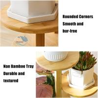 Estantería para Plantas de 5 Niveles con Ruedas Soporte para Múltiples Macetas de Esquina - details 3