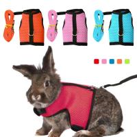 Correa de Malla Suave para Mascotas Pequeñas Conjunto de Correa y Correas para Conejos, Hamsteres, Cobayas Suministros para Mascotas - details 3