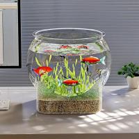 Pecera redonda Ultra transparente, tanque de visualización extraíble de plástico, decoración decorativa de escritorio con vista de 360 grados, pequeño acuario, decoración de escritorio - details 1