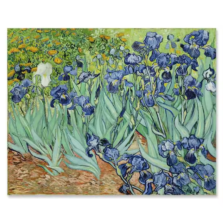 Pintura de Van Gogh Noche Estrellada en Lienzo para Decoración de Pared Arte Deco con Irises y Girasol sobre el Río Rin Lienzo de Marca DHROOM - 1