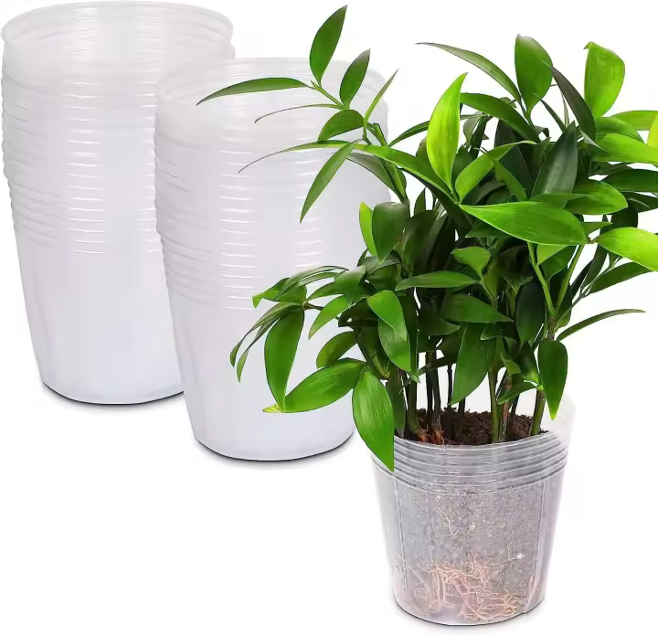 Maceta transparente de 100 Uds., maceta hortícola de plástico duradero de 5 pulgadas, contenedor de plántulas de plantas pequeñas - 1