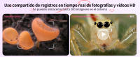 Microscopio Digital para niños, microscopio portátil de 500 pulgadas con 8 LED ajustables, Compatible con grabación de fotos y videos - details 3