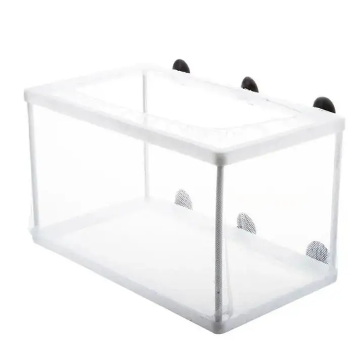 Caja de cría de peces de acuario con ventosas, Red de aislamiento de cría extraíble, toldo colgante, criadero de peces para bebés - 1