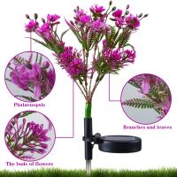 Luces de Flores de Jardín Solar Decoración de Luz de Camino Impermeable Brillo de 100 Lúmenes - details 4