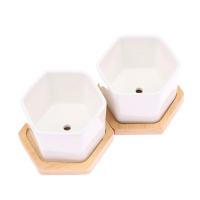 Maceta de cerámica hexagonal blanca con bandeja, maceta Europea Simple, contenedor de plantas suculentas, macetas pequeñas para bonsái - details 14