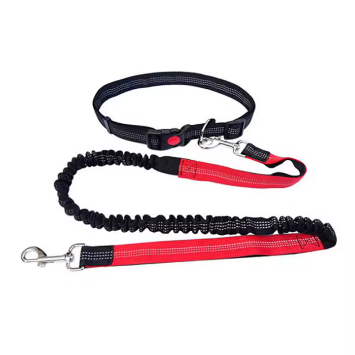 Correa para Mascotas with Empuñadura Cómoda Ideal para Mascotas Activas y Dueños de Mascotas Correa Elástica Duradera de Nailon para Perros - 1