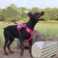 Suministros para gatos, conjunto de correa reflectante para perros, Anti Escape, sin tirones, arnés para perros grandes, chaleco, cuerda de tracción ajustable transpirable para perros y cachorros - details 2