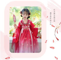 Hanfu primavera y otoño vestido elegante antiguo súper inmortal para niñas pequeñas falda de bata de estilo chino Tang para niños - details 6