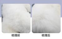 Peine Profesional para Mascotas Tuspinas de 135° para Perros y Gatos Desenredado y Eliminación de Pelo Suministros para Mascotas - details 5