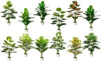 Plantas falsas realistas