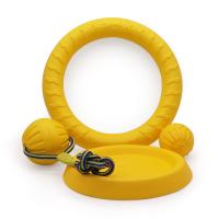 Los juguetes para mascotas de EVA no pueden morder al perro, juguetes para perros con disco volador, auto-hola para aliviar el aburrimiento, productos para cachorros con pelota para mascotas - details 0