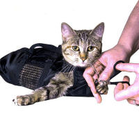 Bolsa de baño con tres cremalleras traseras para gatos, resistente a la suciedad, fácil de lavar, para baño y cuidado de gatos - details 4