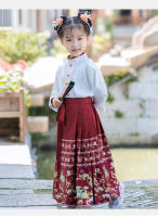 Conjunto de Falda Hanfu para Niñas Otoño 2025 Traje de Estilo Chino Antiguo para Actuaciones de Recitación Zapatos y Ropa - details 16